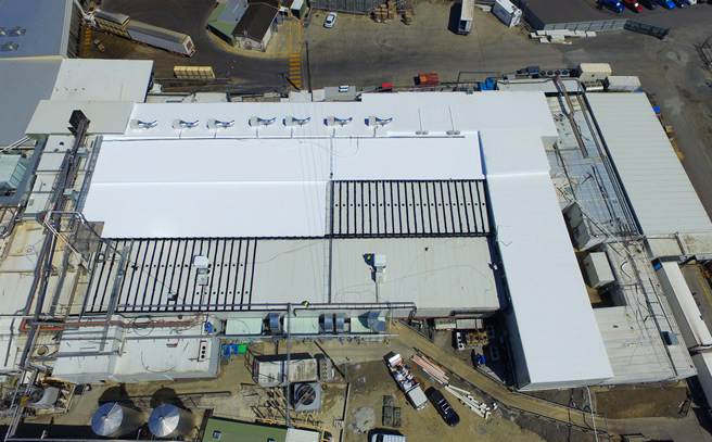 Nerang Park Poultry roof